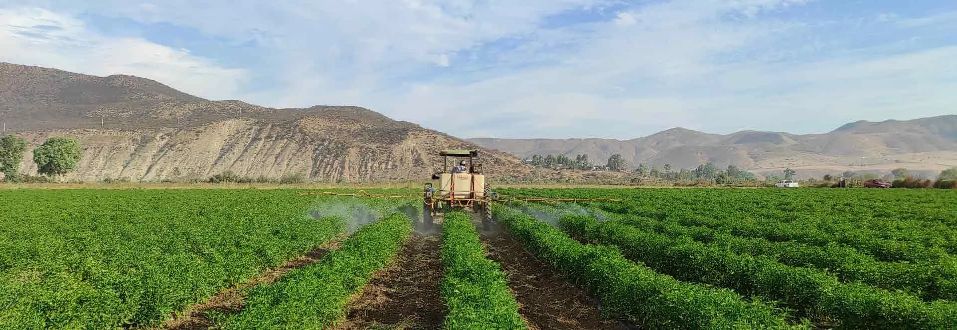 El Método AP: Estrategia y liderazgo en bioestimulación vegetal