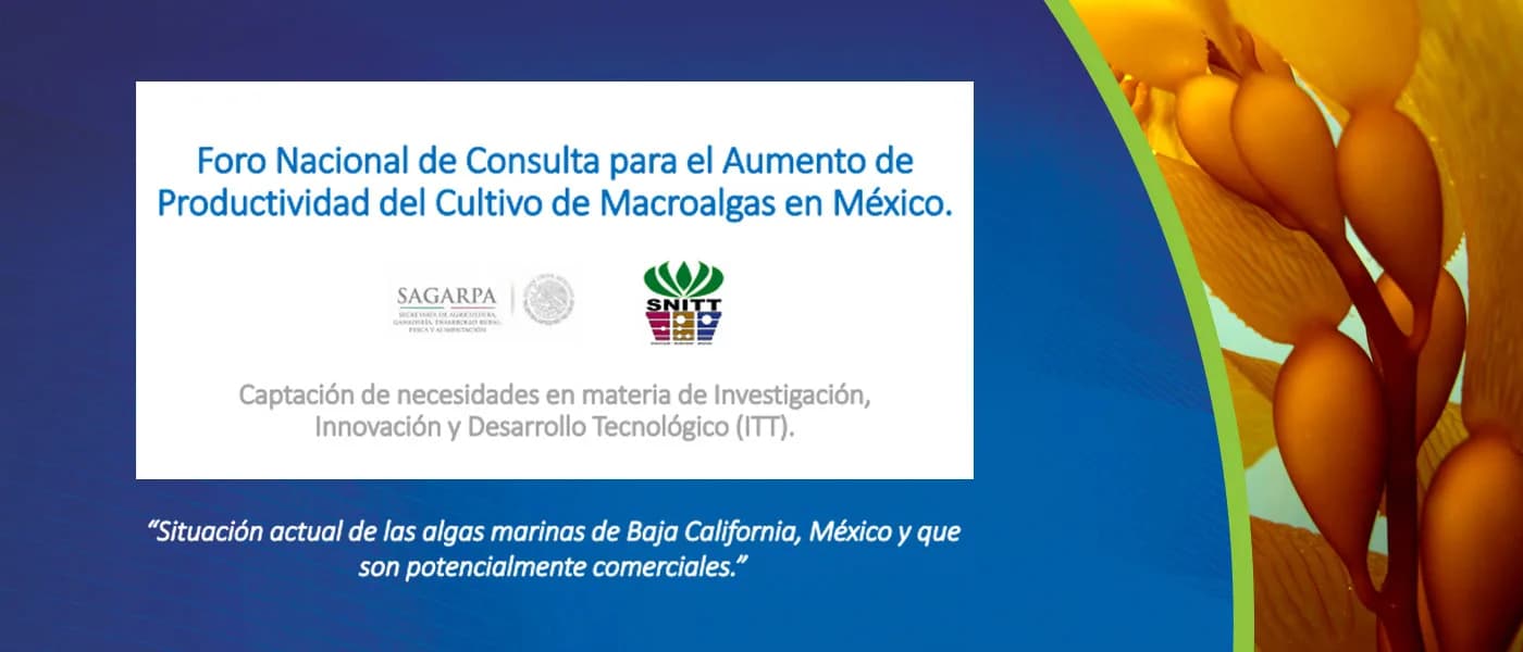 Algas Pacific en el Foro Nacional de Macroalgas México