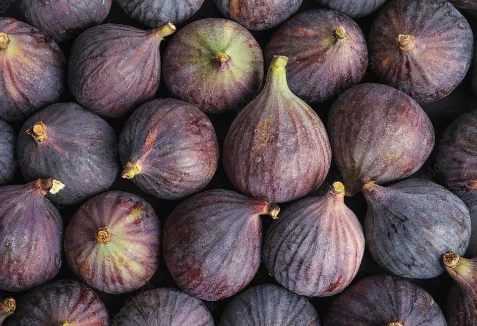 Bioestimulación y nutrición específica en el cultivo de higo